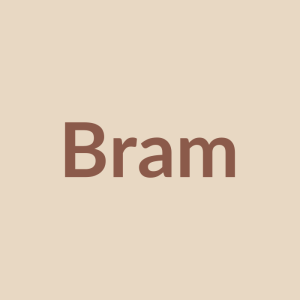 Bram — handgemaakte pop